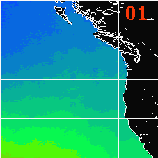 Movie of Monthly Average Sea Surface Temperatures